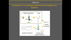 HBMA312 - Allocation du carbone et signalisation - part 2