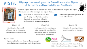 Projet PISTiL et Questions.mp4