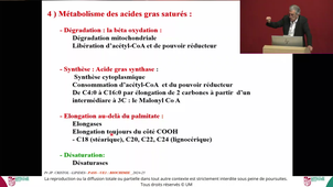 UE1 ECUE1.2 Biochimie Pr CHRISTOL 03102024