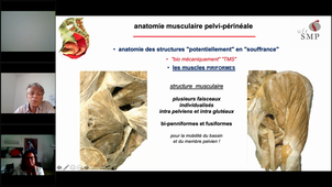complet DU