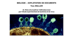  BIOLOGIE – EXPLOITATION DE DOCUMENTS : Organisation fonctionnelle de la cellule – 20ème Partie « Rôle informatif de l’ADN déterminé par l’étude expérimentale de bactéries et de virus »