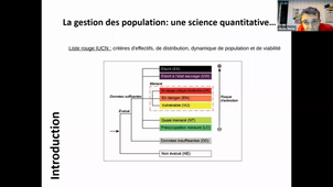HMBE291 cours 1 taille de population - 18jan2021