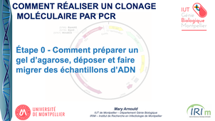 Clonage moléculaire par PCR - Étape 0 - Comment préparer un gel agarose, déposer et faire migrer des échantillons