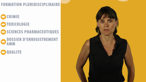 Présentation Licence INGS