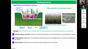 HLBE614 - CM Phytoremediation - Partie 2 - BBEC