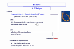 Cours - Puberté normale : hypogonadismes, hyperandrodrogénie / Sémiologie clinique et biologique - Pr Paris