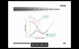 SO RFCT 2024-2025 - Photochimie B. Lasorne #1