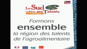 Gala LRIA Le sud cultive ses talents