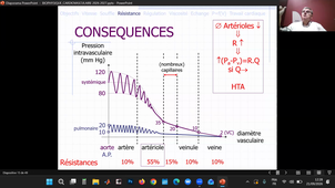 DFGSM3 - Biophysique de l'hémodynamique cardiaque - Denis Mariano-Goulart - 21/09/2026