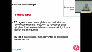 PASS UE3 ECUE 3.1 Bio cell - Pr.Delbecq - 16/09/2025