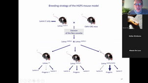20261019-HAV710V_Splicing Part 2.mp4