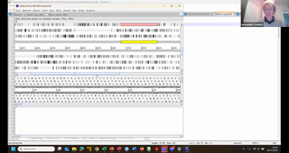 TU04 Small genomes E Cornillot Dec 02 2025.mp4