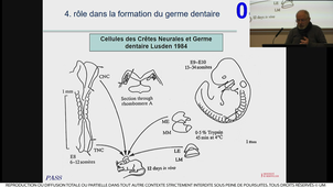 ECUE9 cuisinier 01/02/2023