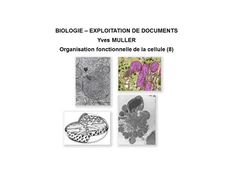 BIOLOGIE - EXPLOITATION DE DOCUMENTS :  Organisation fonctionnelle de la cellule - 8ème Partie 'Diversité des rôles de la mitochondrie'