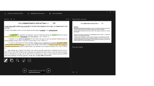 Articulation CPH et tribunal correctionnel - A. Casado
