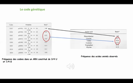 Code génétique et ARNt
