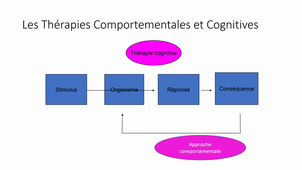 IV.2.Approche TCC et douleur sonorise 2 2022 2023.mp4