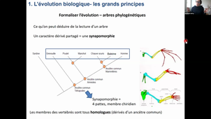 CM evolution partie 2
