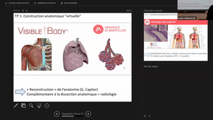 18-09-2020 DFGSM2-Carillo Serge Gouzi Fares -Appareil respiratoire CM3