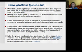 HAG709B - génétique des populations 2