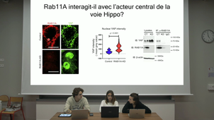 Article Vesicular Trafficking 4
