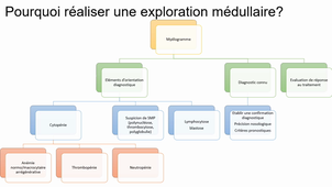 Explorations médullaires en hématologie - Dr S. Carras