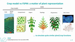 HBMA312 - Modélisation du fonctionnement des plantes. Des modèles crop au FSPM - part 1