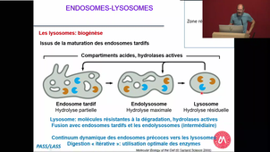 ECUE3-Delbecq_20240919.m4v