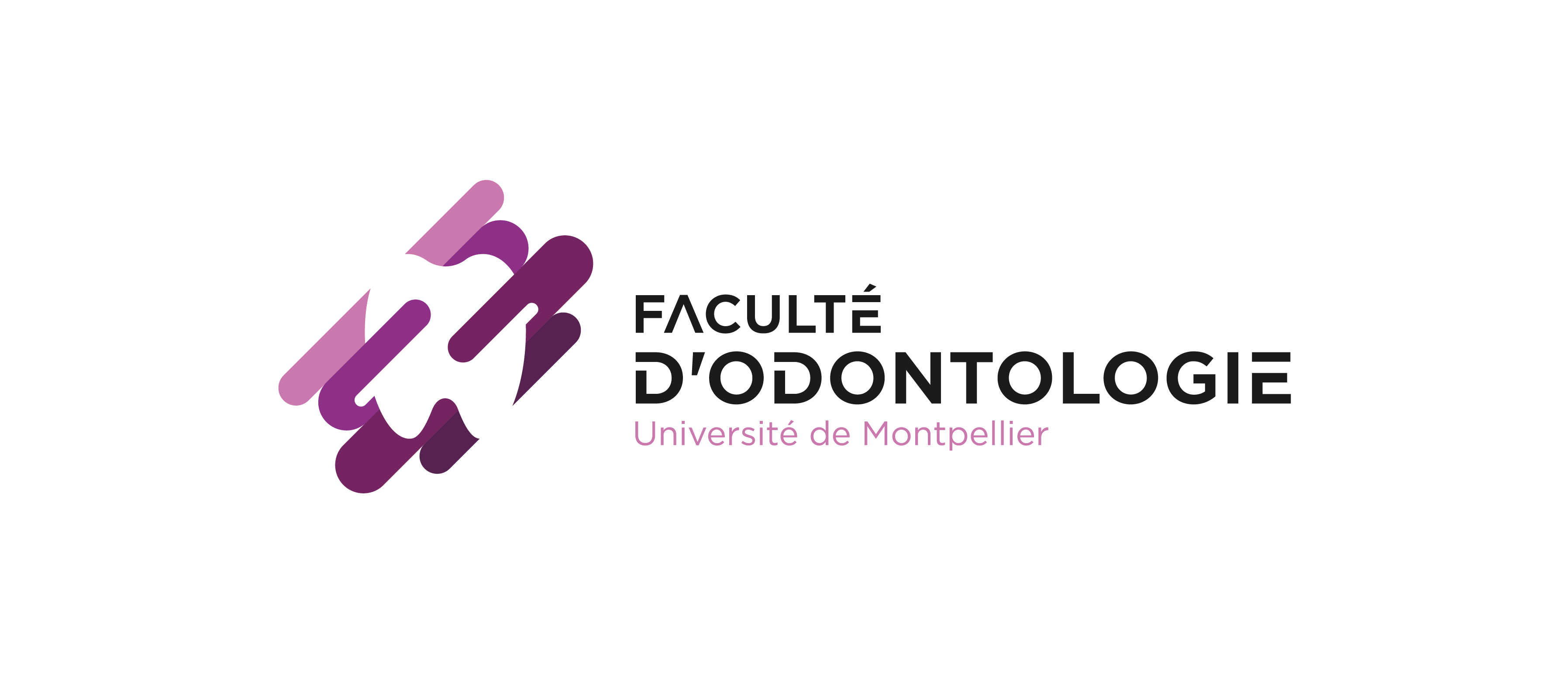 Bannière Faculté d'Odontologie