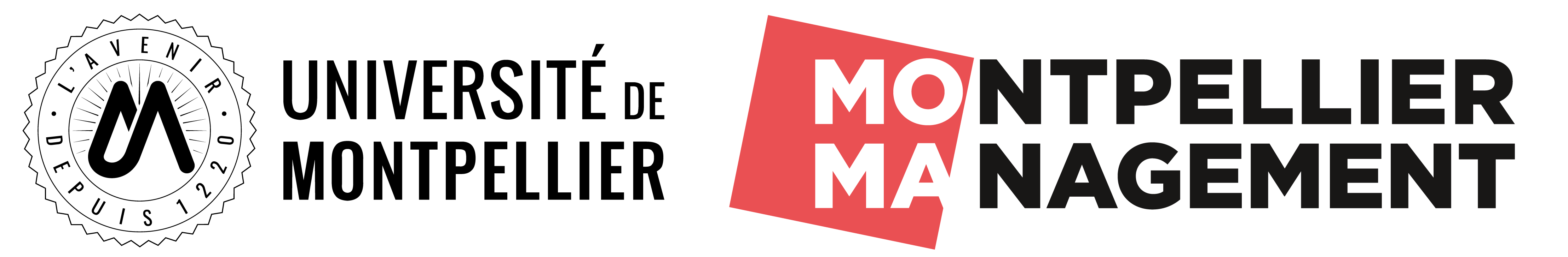 Bannière Montpellier Management (MOMA)