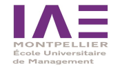 Ecole Universitaire de Management (IAE)