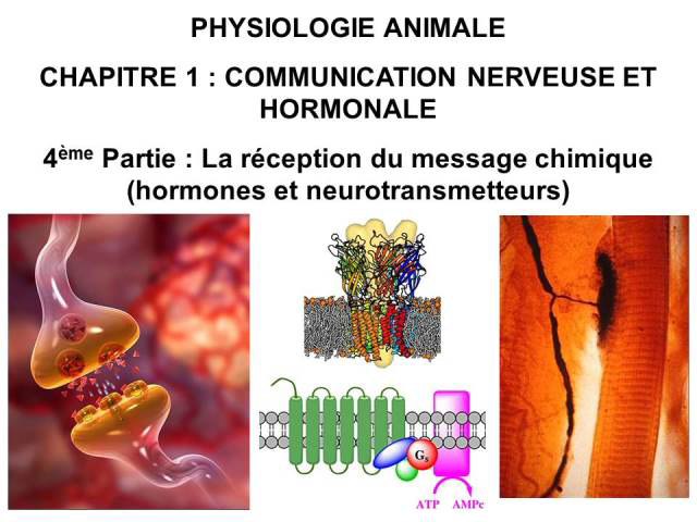 Video Universite De Montpellier Licence De Biologie Cours De